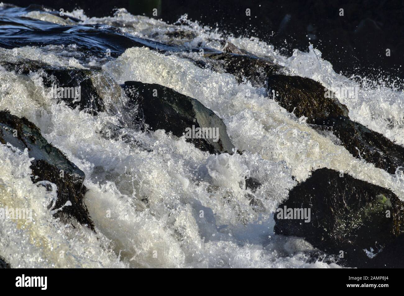 Nahaufnahme des schnell fließenden Weißwassers über ein steinige Wehr am Fluss Rheidol (Wasserfall) Stockfoto