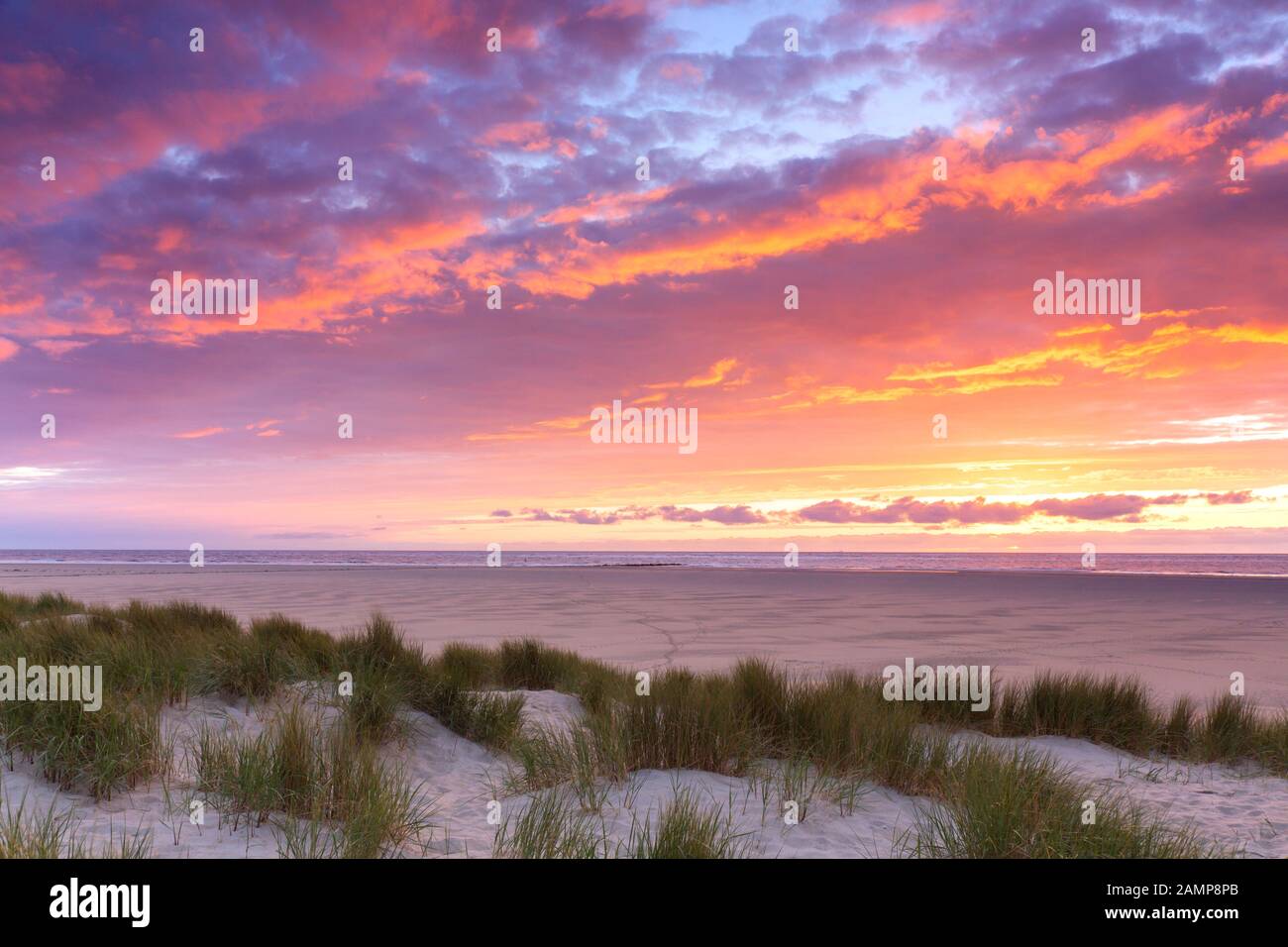 Strand und Marramgras/Strandrasen (Ammophila arenaria) in den Dünen auf Texel bei Sonnenuntergang, Westfriesische Insel im Wattenmeer, Niederlande Stockfoto