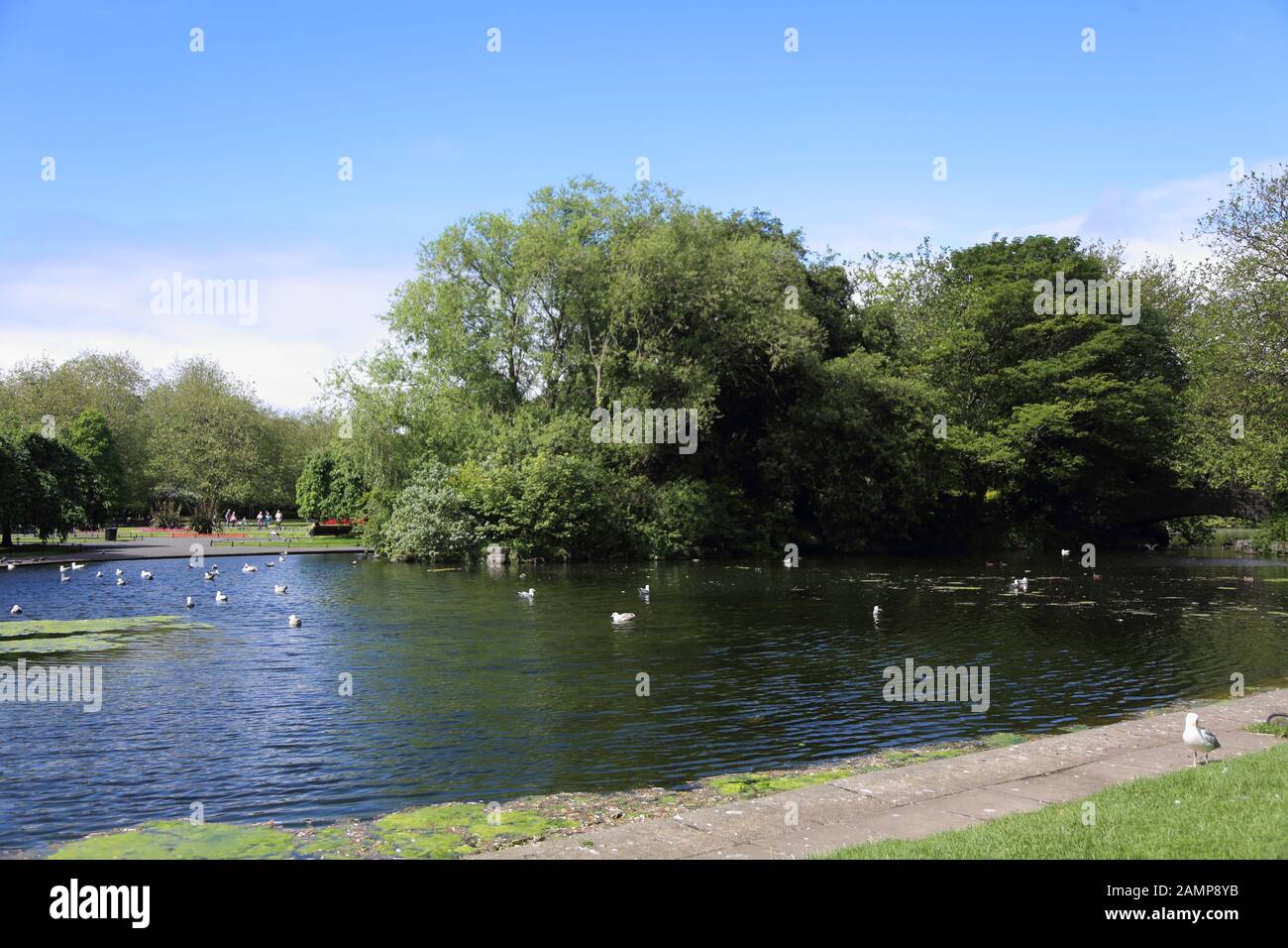 Dublin St. Stephens Green Park Stockfoto