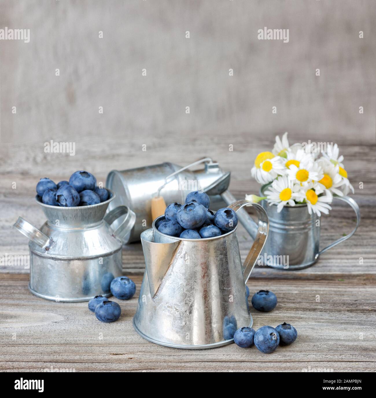 Blaubeeren in einem Tafelgeschirr aus Metall auf dem Hintergrund von altem Holz, mit Kopierraum Stockfoto