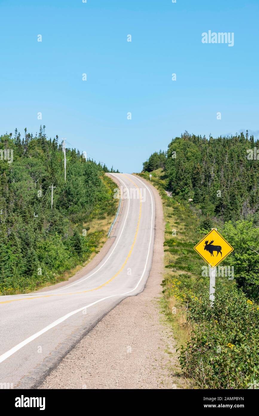 Straßenschild warnt vor der Kreuzung von Elchen, Cabot Trail, Cape Breton Highlands National Park, Nova Scotia, Kanada Stockfoto