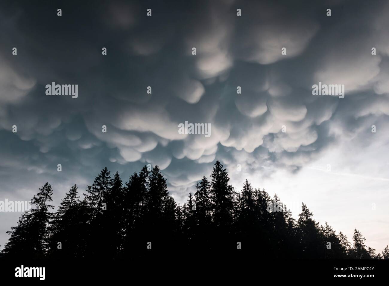 Mammutwolken, schlechtes Wetter, dramatische Wolkenatmosphäre, Gewitterwolken, in der Nähe von Grainau, Oberbayern, Bayern, Deutschland Stockfoto