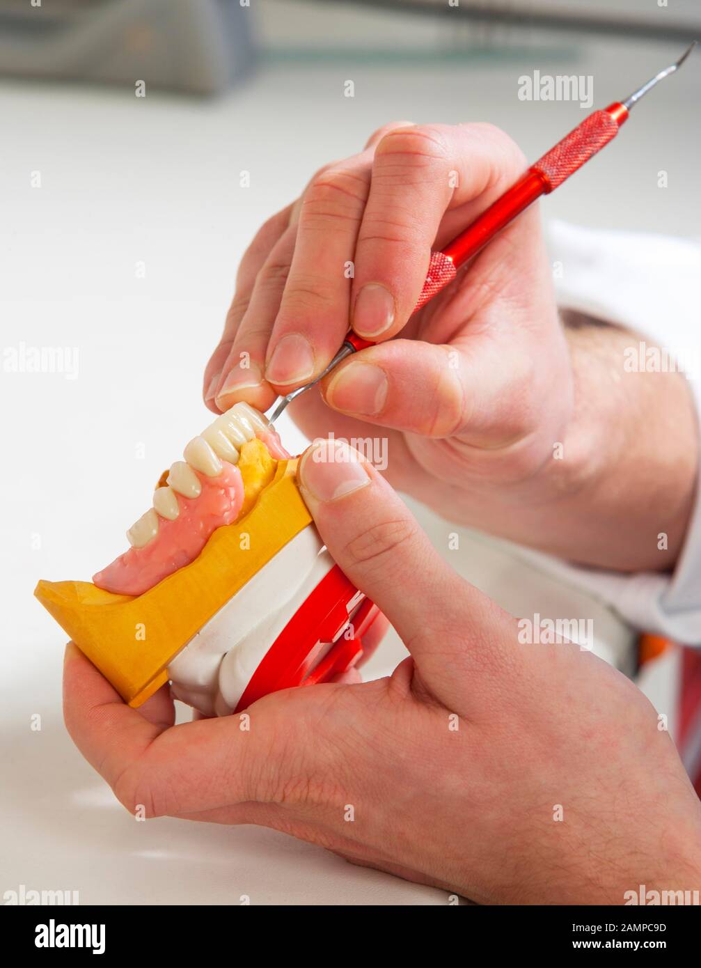 Zahntechniker, Zahntechnik, Modellierung an Unterkieferpartialhärenten mit Wachs, Deutschland Stockfoto