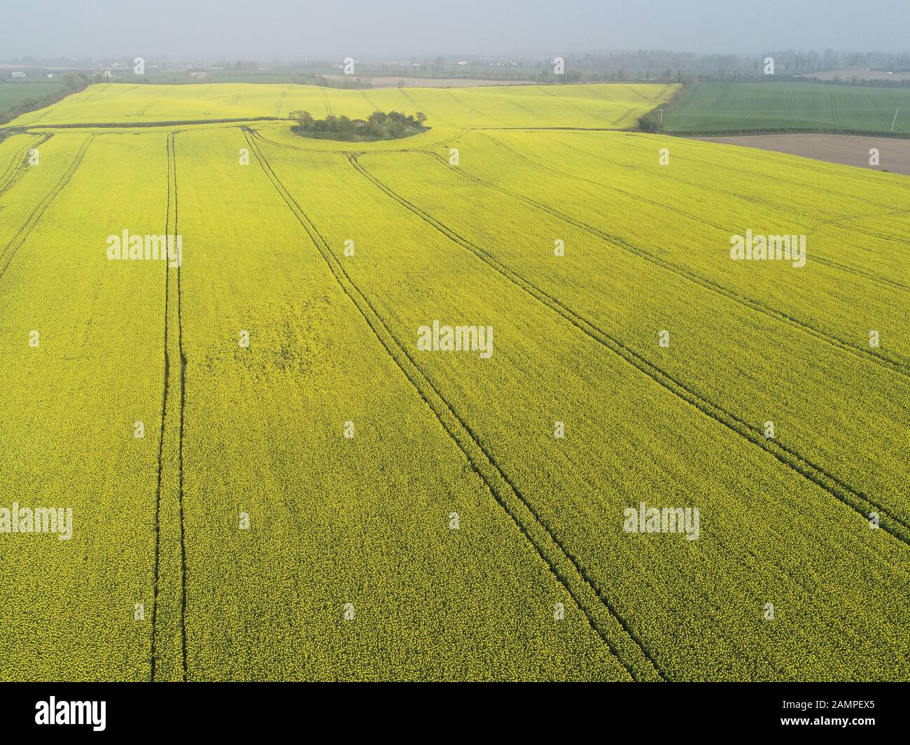 Drone Luftaufnahme eines Raps Feld in der Blüte im Osten der Republik Irland. Stockfoto