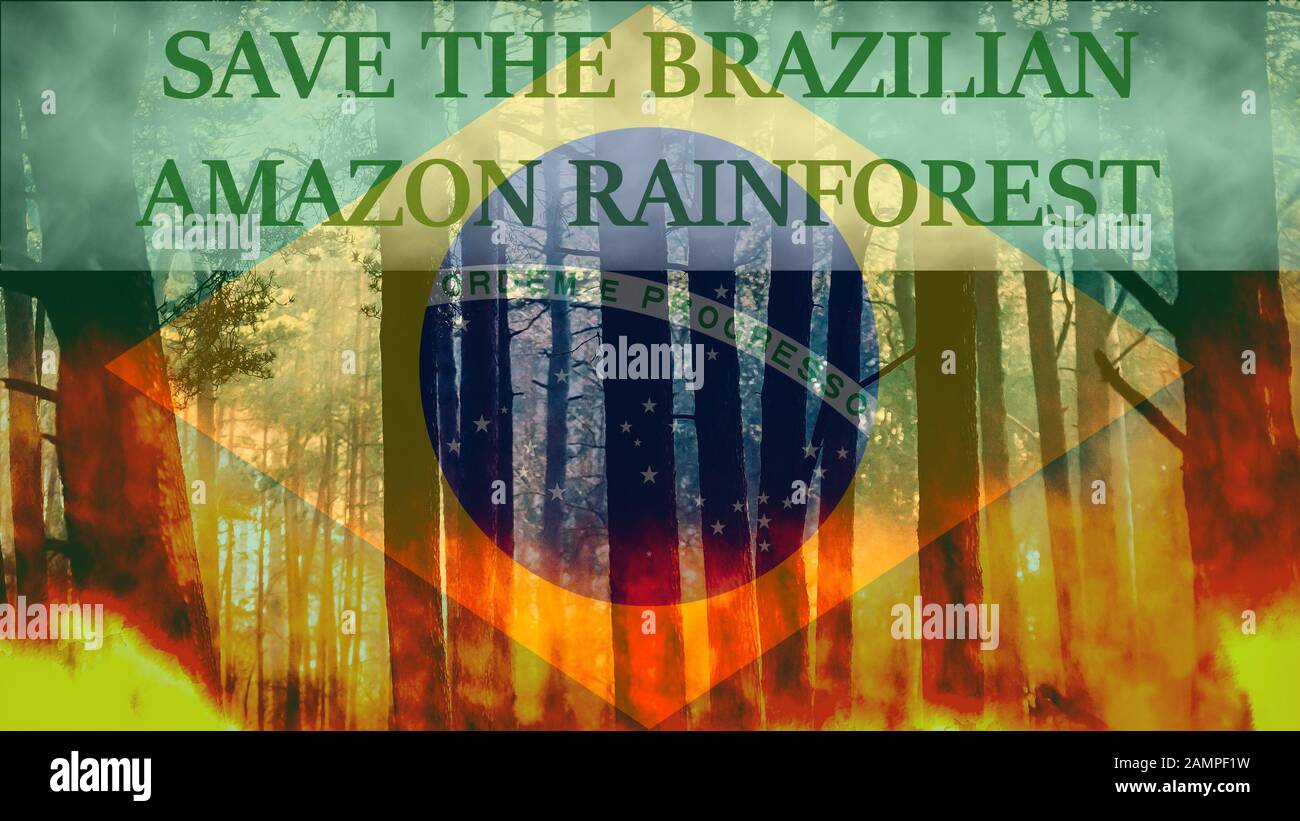 Reißender Pinienwald Waldbrand mit Bildunterschrift, um den brasilianischen Amazonas-Regenwald vor Zerstörung und brasilianische Flagge im Hintergrund zu retten Stockfoto