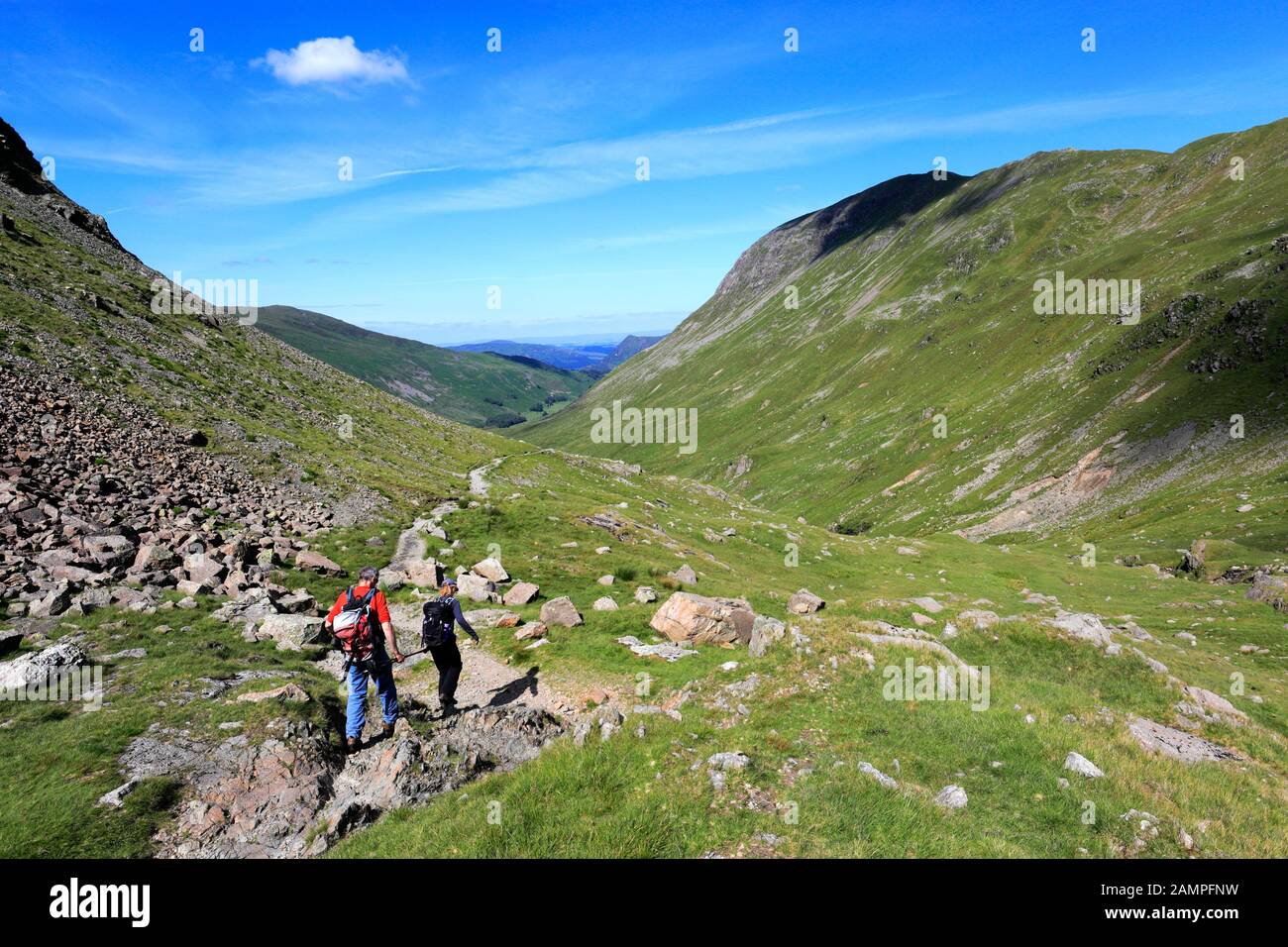 Blick durch das Grisedale Forest Valley, Lake District National Park, Cumbria, England, Großbritannien Stockfoto