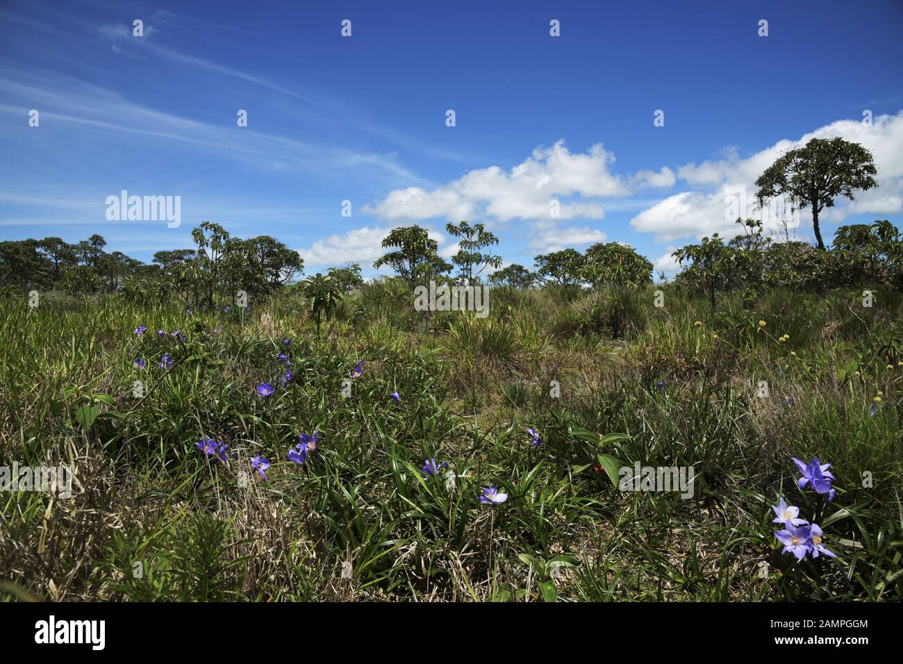 Windportal, Stones Hills in Sao Thome das Letras, Minas Gerais, Brasilien Stockfoto