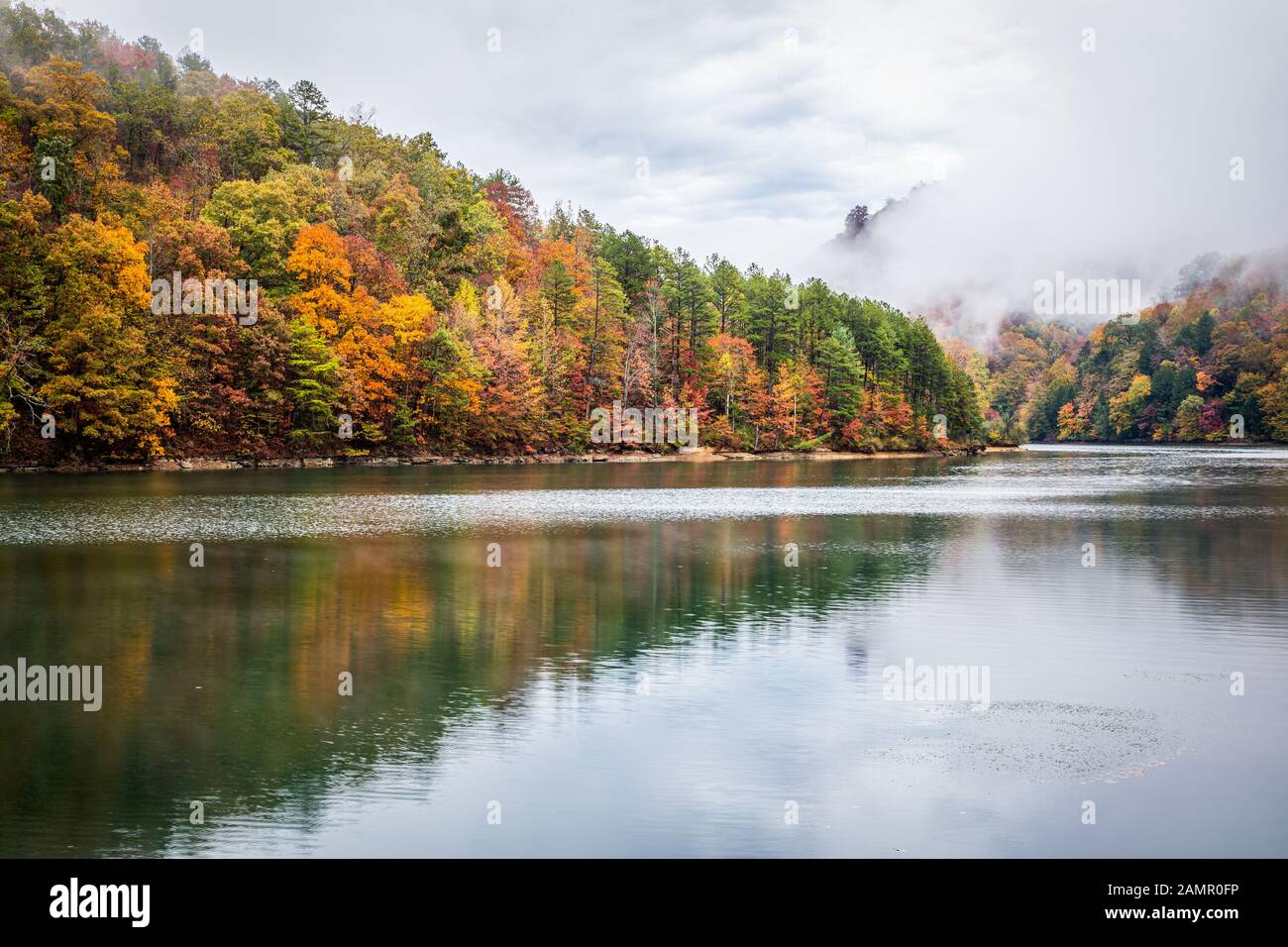 Herbstliche Spiegelung im Wasser. Stockfoto