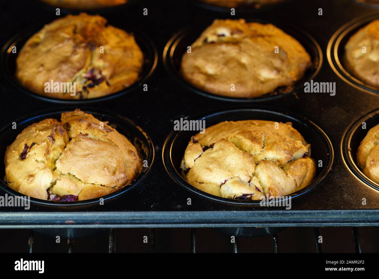 Hausgemachte goldene Vegan-Vanille-Kirschmuffins auf einer schwarzen Muffinschale in einem beleuchteten Ofen - Nahaufnahme, abgewinkelte Ansicht, horizontales Format Stockfoto