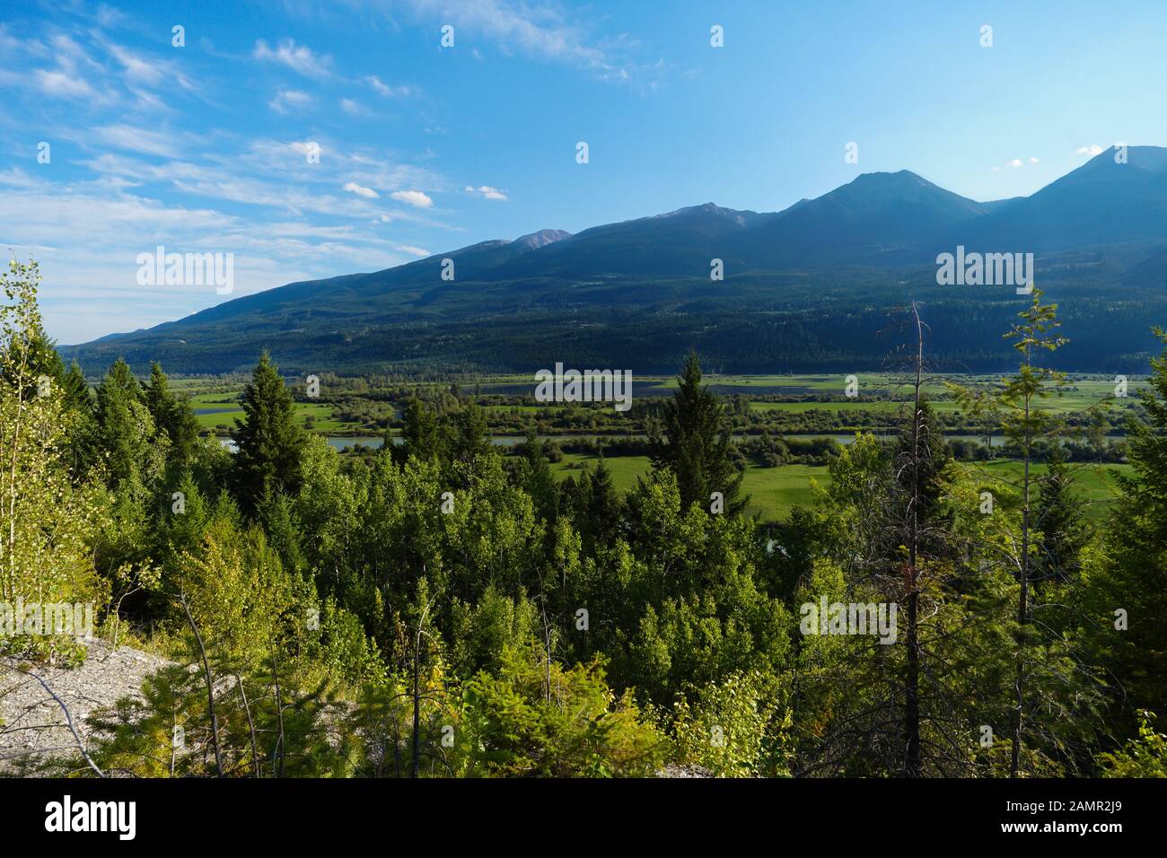 Die schönen und üppigen Columbia River Valley in British Columbia im Sommer. Stockfoto