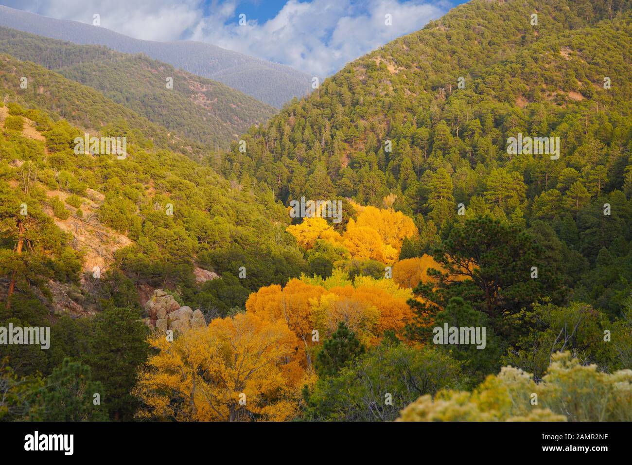 Die Farben des Herbstes zeigen anschaulich in die grünen Wälder der Berge außerhalb von Santa Fe Stockfoto