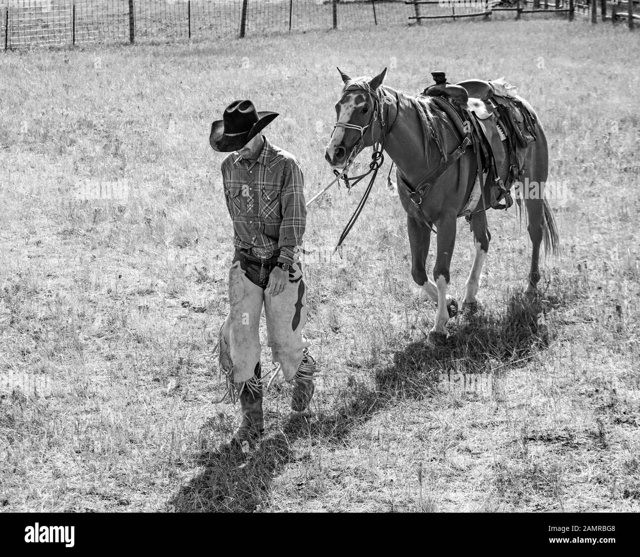 WY04090-00-BW...WYOMING - Barry Cargo, der sein Pferd auf der Willow Creek Ranch anführte. Stockfoto