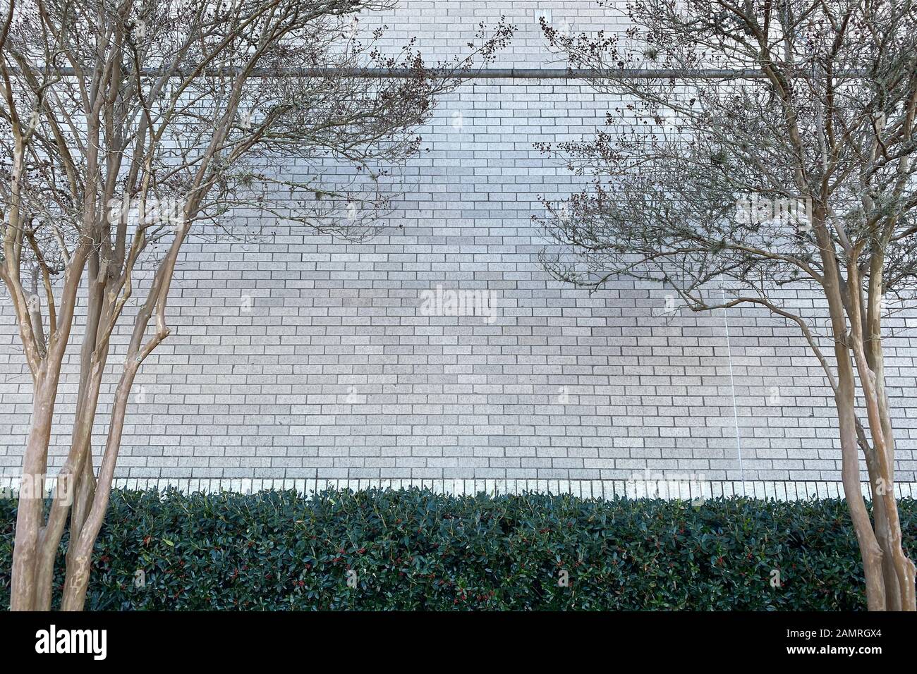 Ein weißes Gebäude blick Wand in einem Park mit Hecken und Bäumen Stockfoto