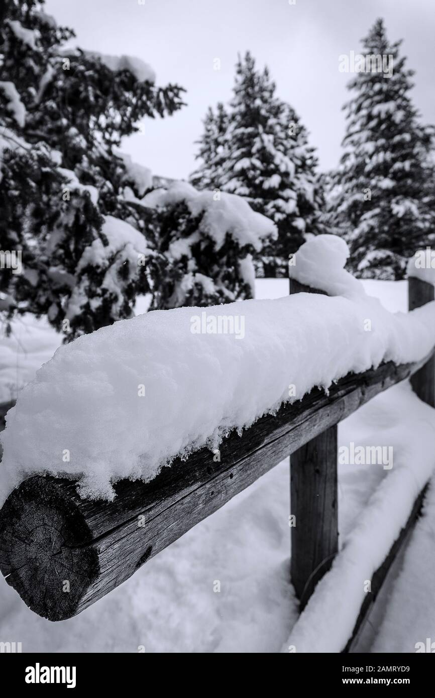 An einem alten Holzzaun häuft sich Schnee und verzweigt sich in den Wasatch Mountains in Utah. Stockfoto