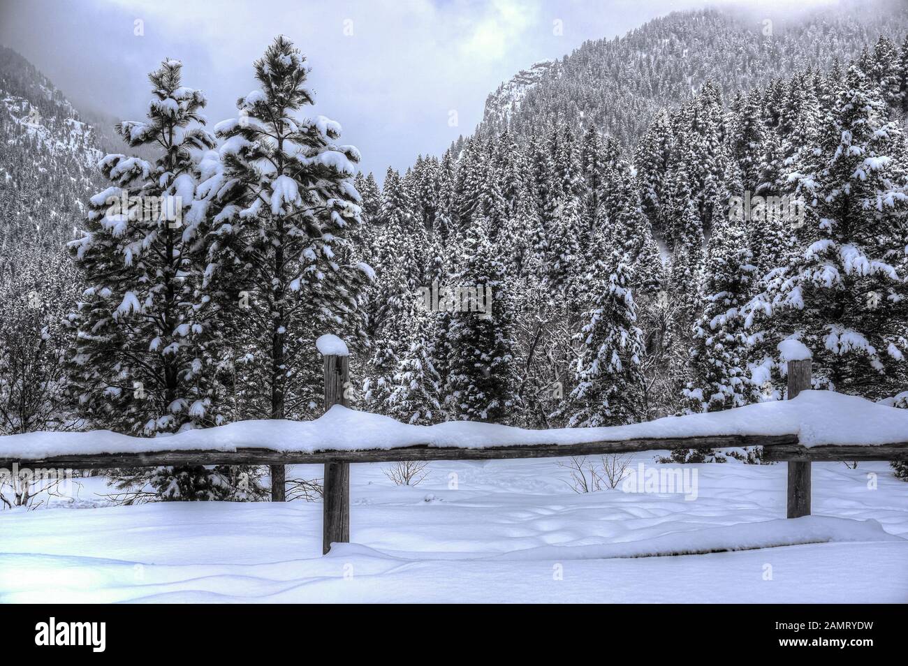 Ein Holzzaun teilt eine schneebedeckte Wiese in den Wasatch Mountains über dem American Fork Canyon, Utah. Stockfoto