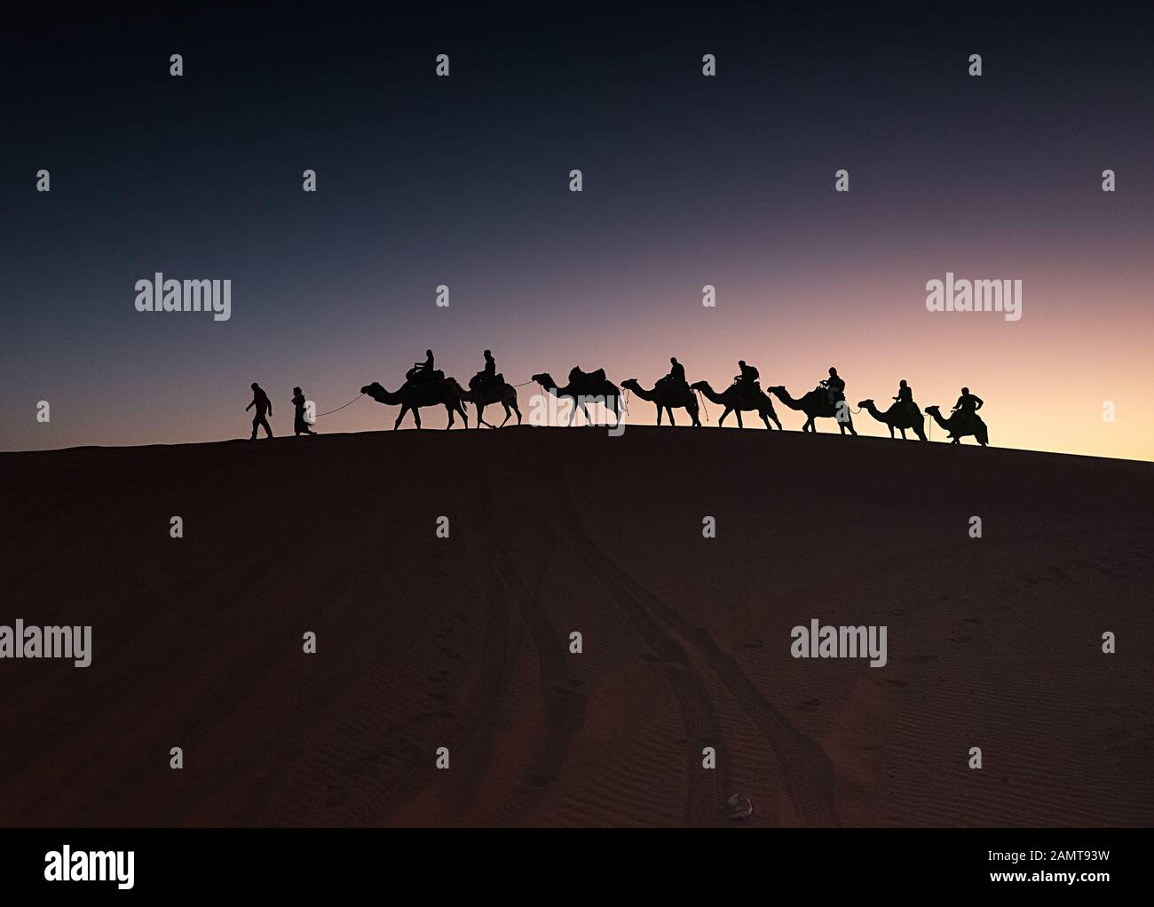 Silhouette einer Gruppe von Menschen, die bei Sonnenuntergang Kamele in der Wüste reiten, Merzouga, Provinz Errachidia, Marokko Stockfoto