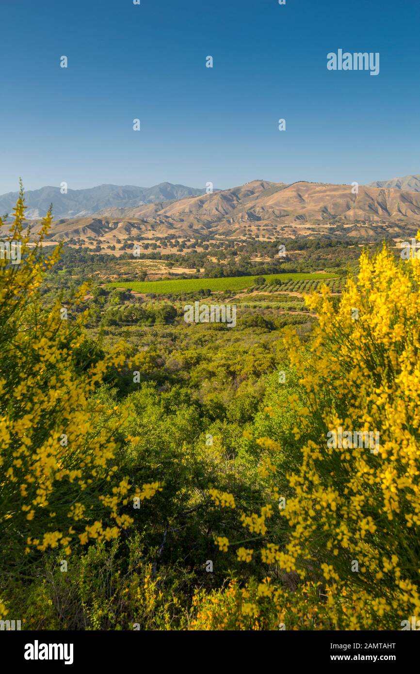 Berge und Pflanzen in der Landschaft, Santa Barbara, Santa Barbara County, Kalifornien, Vereinigte Staaten von Amerika, Nordamerika Stockfoto