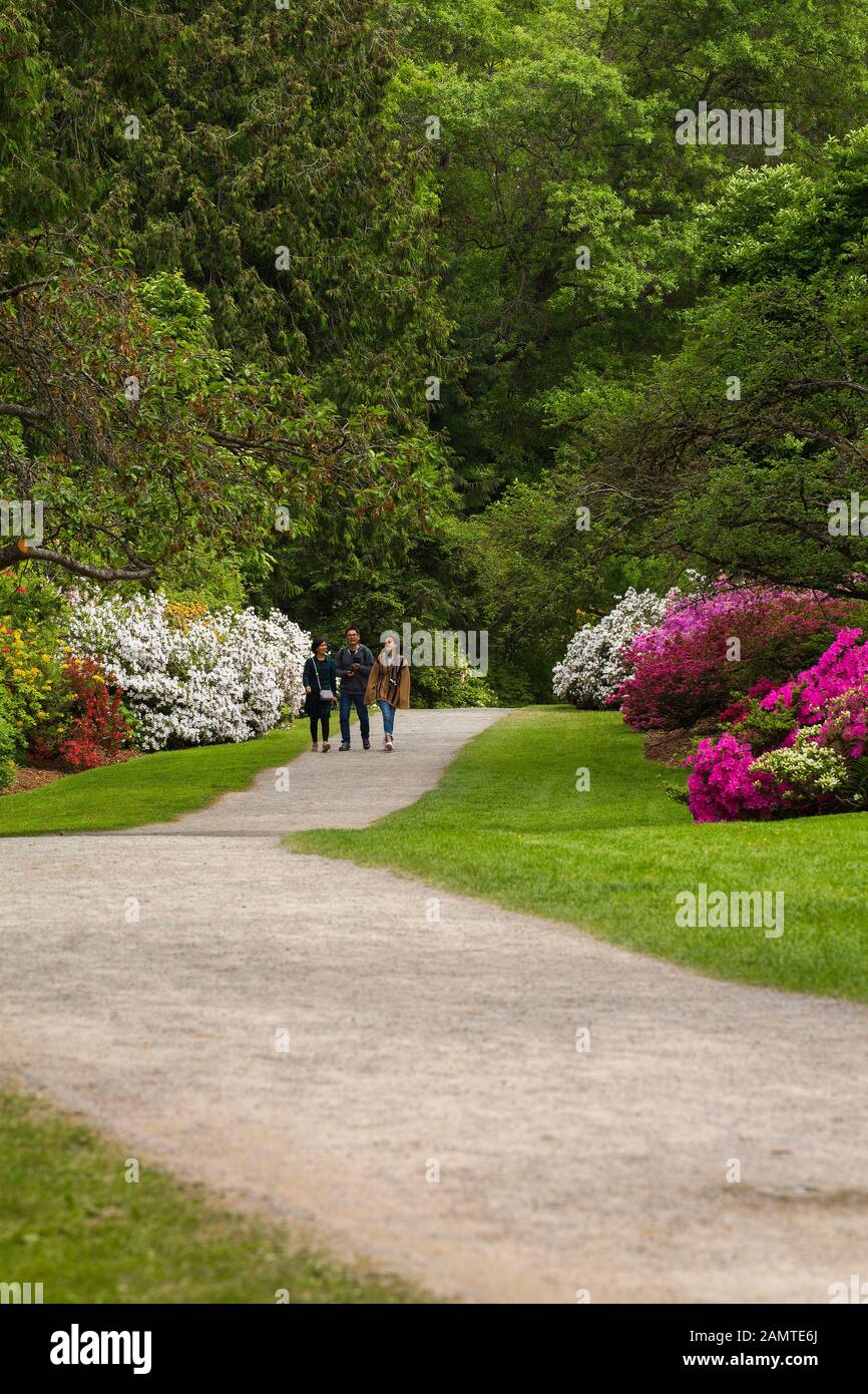 Eine Gruppe von Menschen genießen Sie einen Spaziergang durch den Washington Park Arboretum in Seattle im Frühling Stockfoto