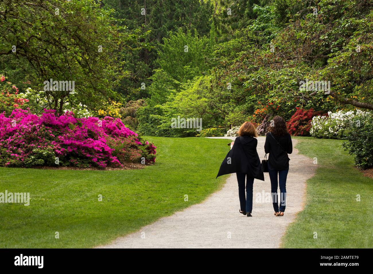 Zwei Frauen genießen einen Spaziergang durch das Washington Park Arboretum auf einem Pfad, der im Frühling von bunten, blühenden Sträuchern in Seattle gesäumt ist Stockfoto