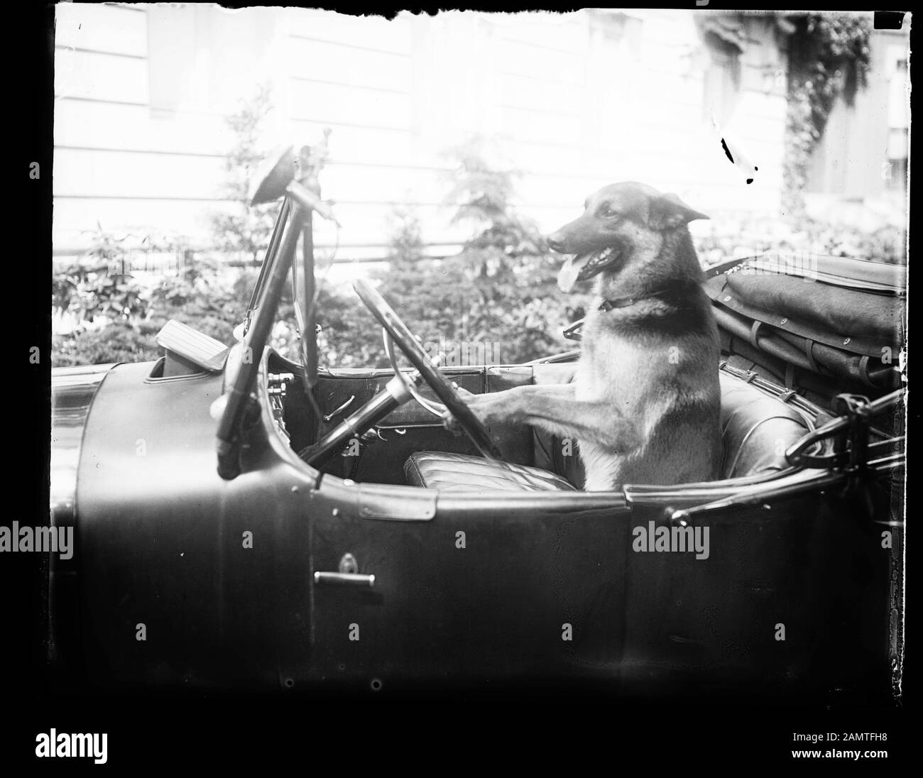 Hundebilder Schwarzweiss Stockfotos Und Bilder Seite 2 Alamy