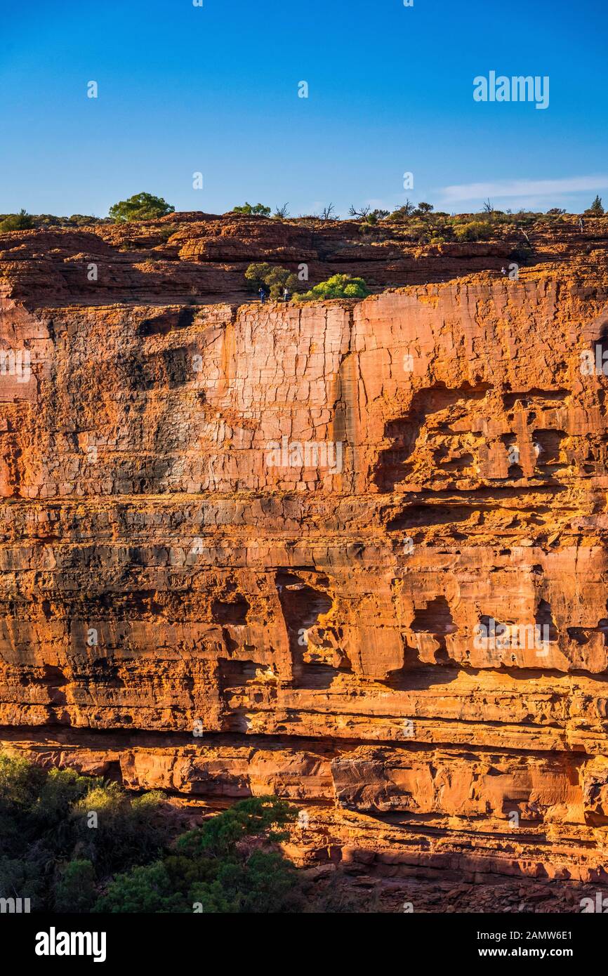 Die massive Südwand am Kings Canyon im Watarrka National Park. Northern Territory, Australien. Stockfoto