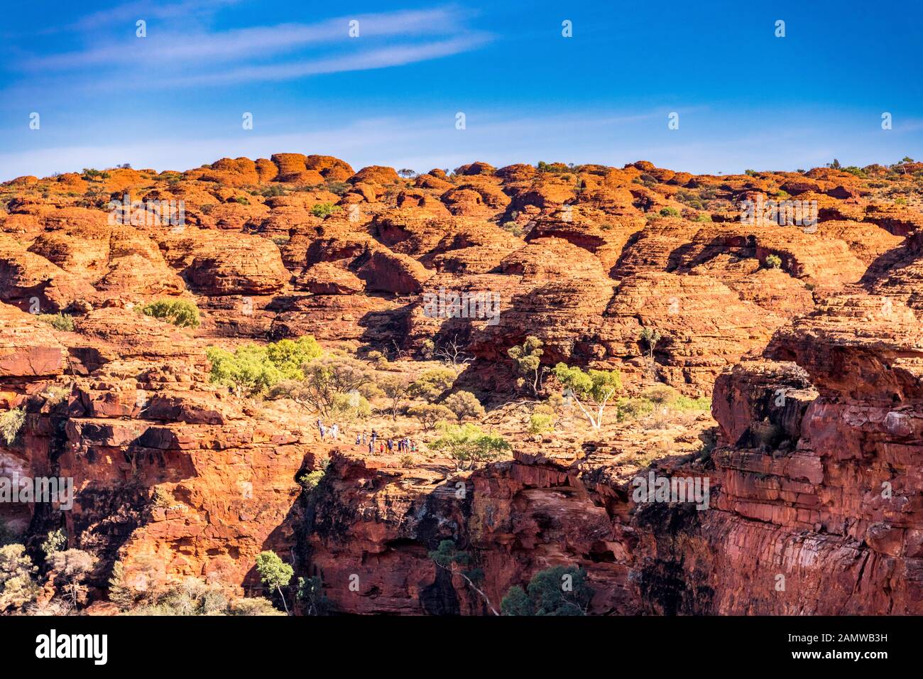 Imkerhieve Kuppeln, bekannt als Lost City entlang des Kings Canyon Rim Walk im Northern Territory in Zentralaustralien Stockfoto