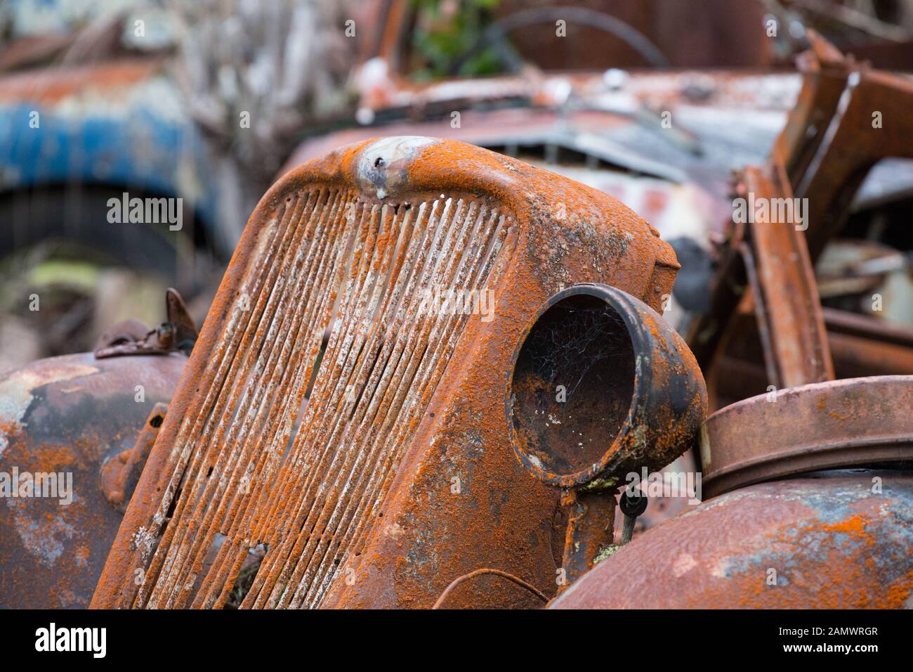 Oldtimer rostet an einem Autowrack Stockfoto