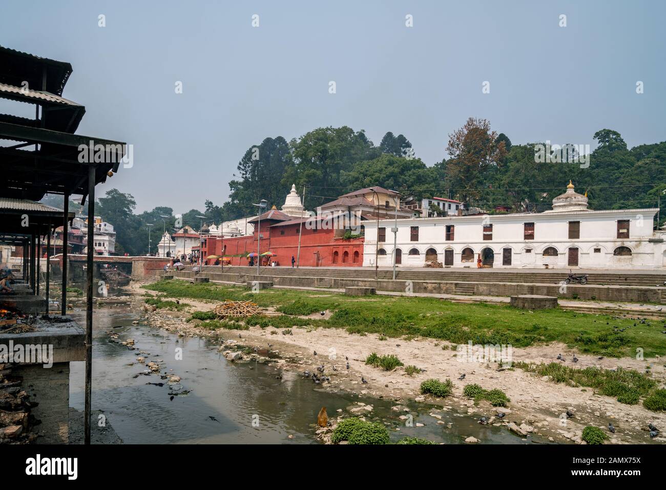 Pashupatinath-Komplex, Kathmandu, Nepal Stockfoto