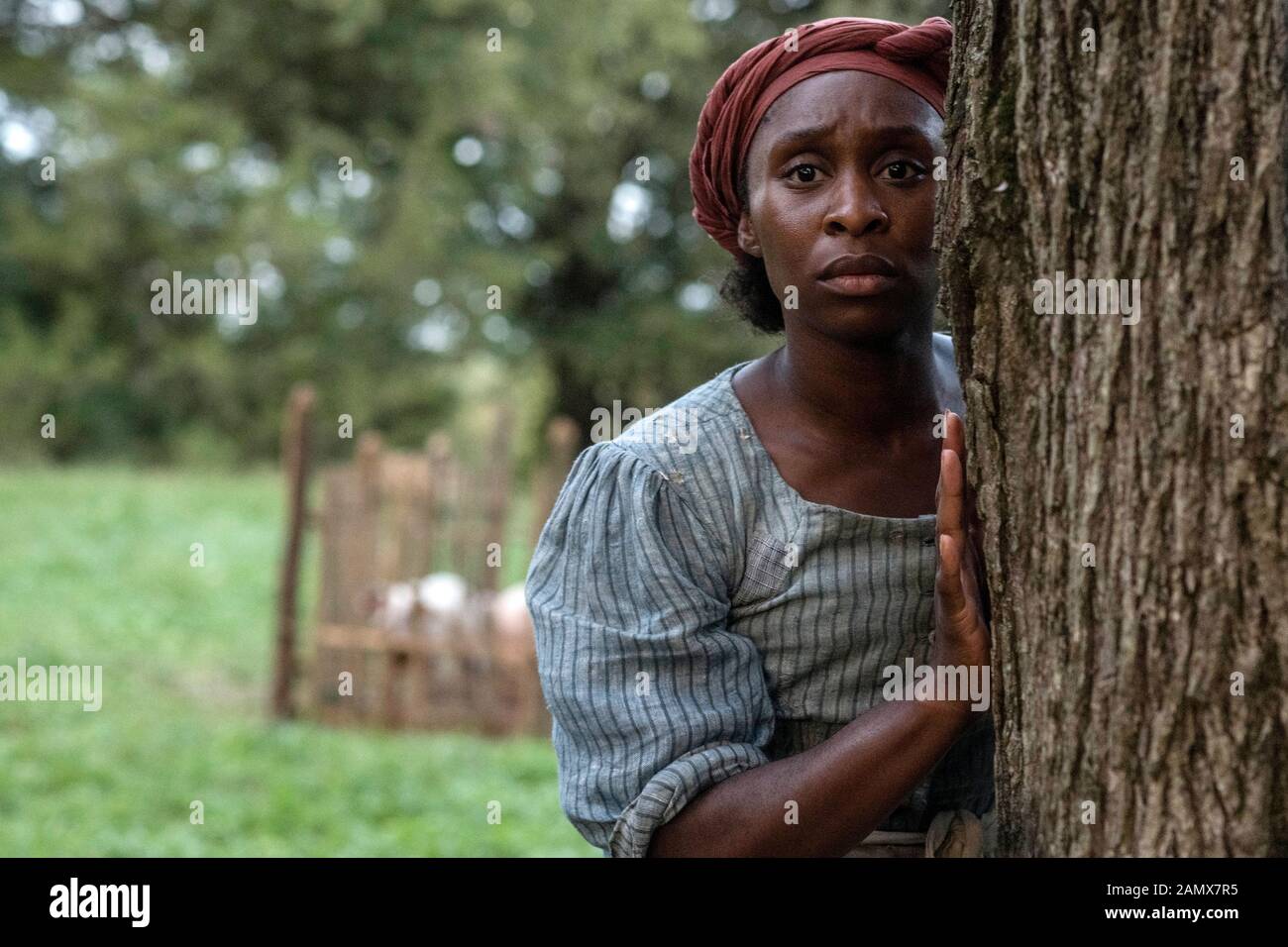 Harriet (2019) unter der Regie von Kasi Lemmons und mit Cynthia Erivo als Harriet Tubman, der einem Leben der Sklaverei entging, nur um rund siebzig andere versklavte Menschen zu retten, die die Underground Railroad benutzen, und erneut während des amerikanischen Bürgerkrieges, in dem mehr als 750 Sklaven in der Combahee gerettet wurden Flussüberfall. Stockfoto