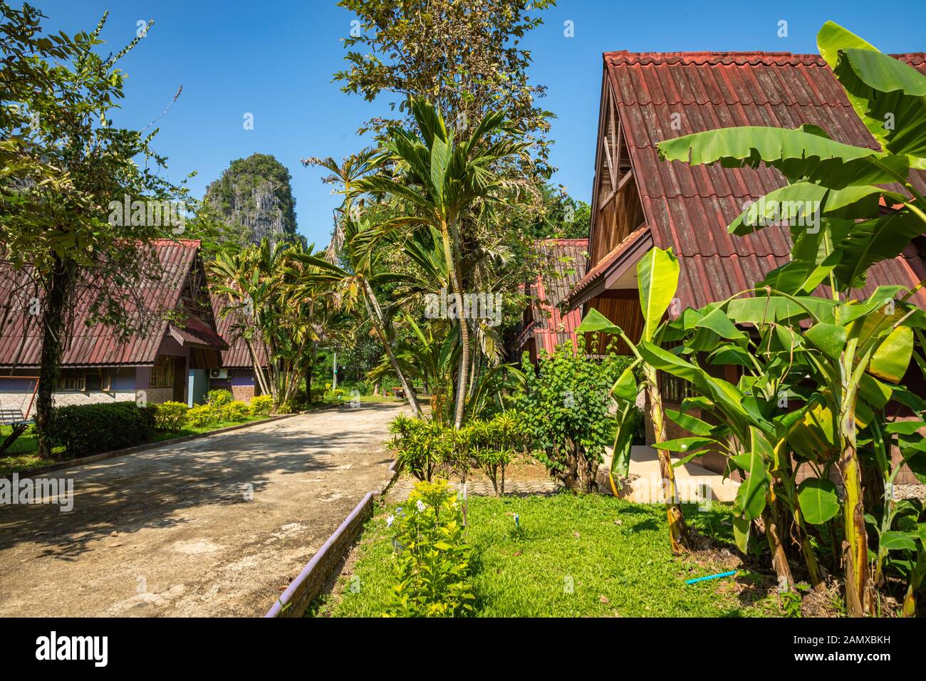 Tropisches Dorf Vang Vieng, Laos. Grüne Palmen. Stockfoto