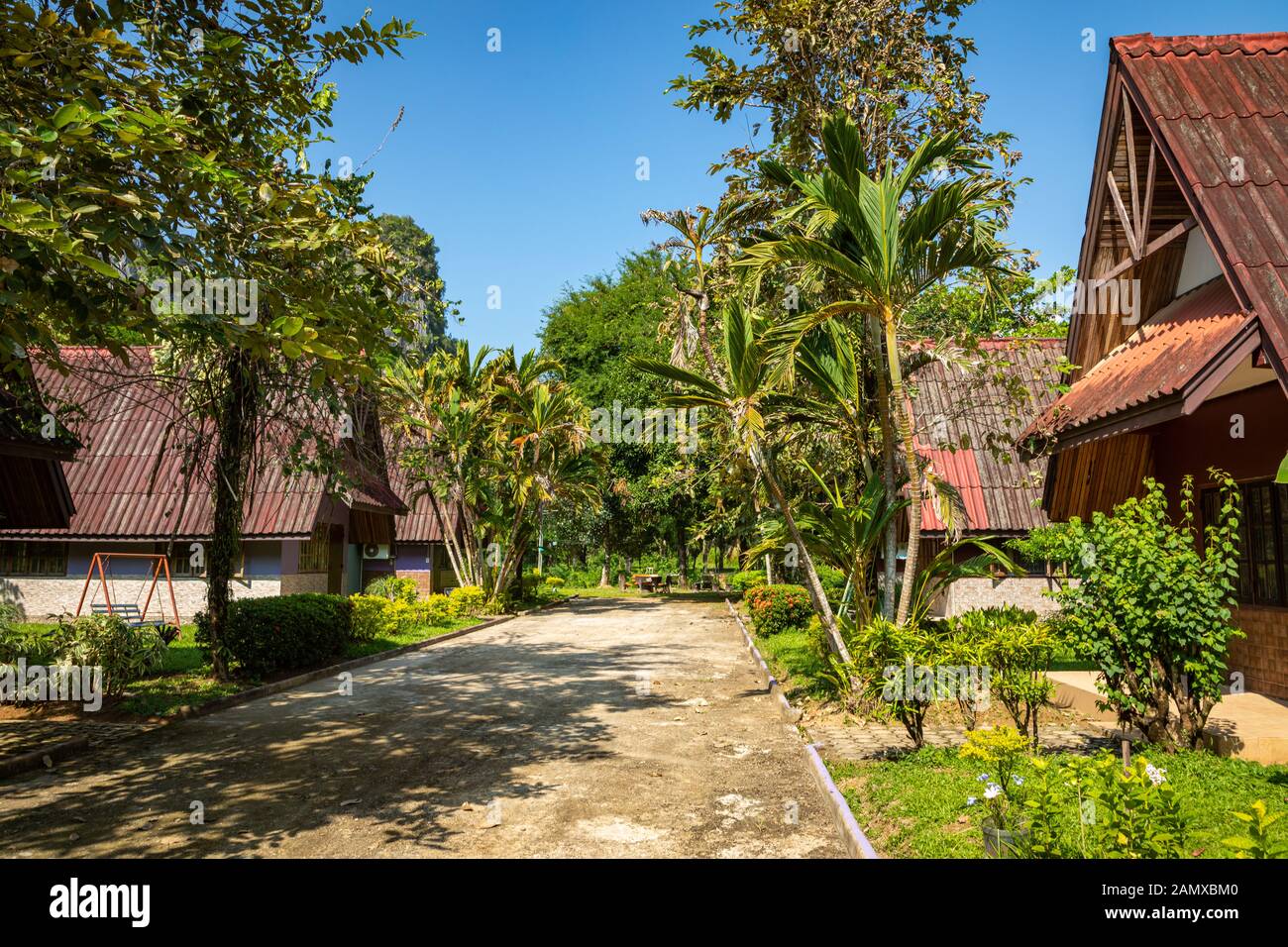 Tropisches Dorf Vang Vieng, Laos. Grüne Palmen. Stockfoto