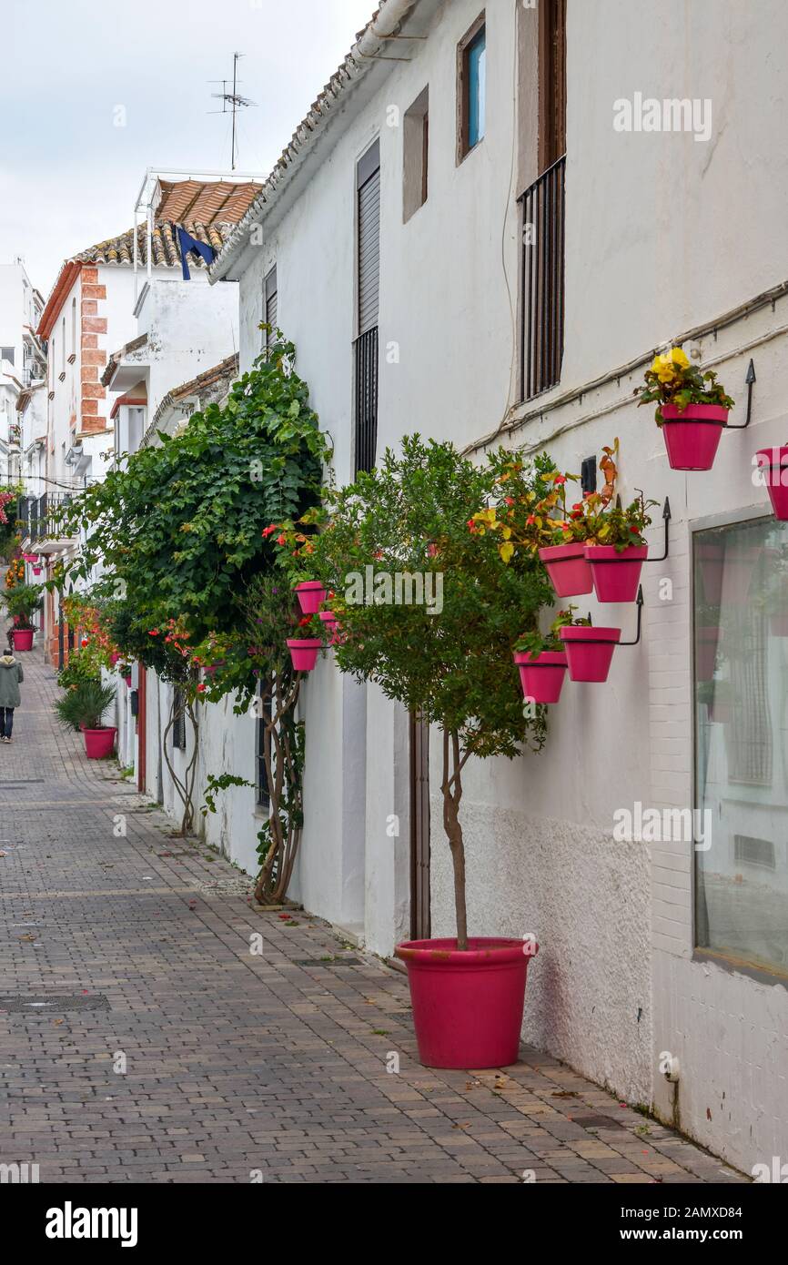 Weiß getünchte Altstadt und blühende Straße in der spanischen Stadt Estepona, Costa del Sol, Spanien Stockfoto