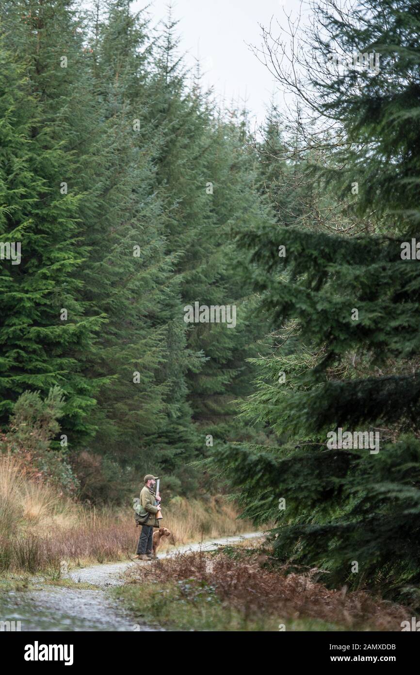 Mann schießen Jagd im Wald Stockfoto