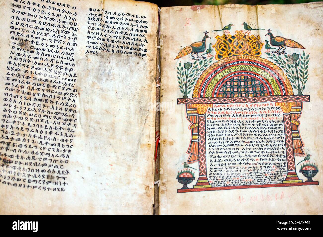 Zu den schätzen des Klosters gehört eine uralte illuminierte Handschrift. Kebran Gabriel Kloster, Kebran Gabriel Island, Lake Tana. Äthiopien. Stockfoto