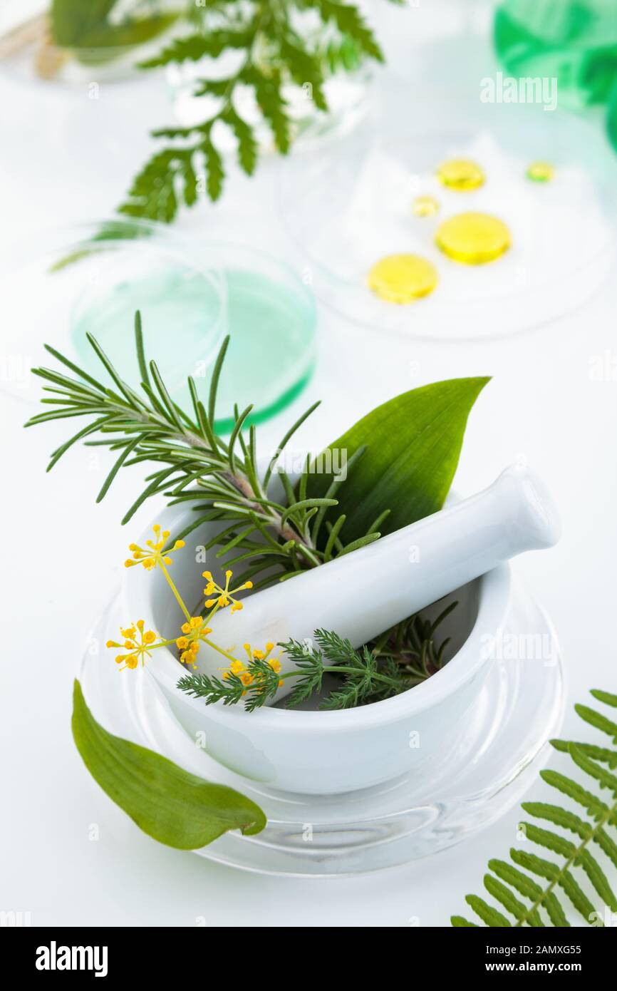 Mörser und Stößel mit Kräutern auf einem Labortisch. Stockfoto