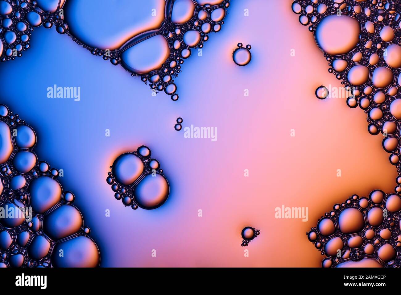 Closeup Schuß von Schaum Luftblasen von Seife oder Shampoo waschen. Stockfoto