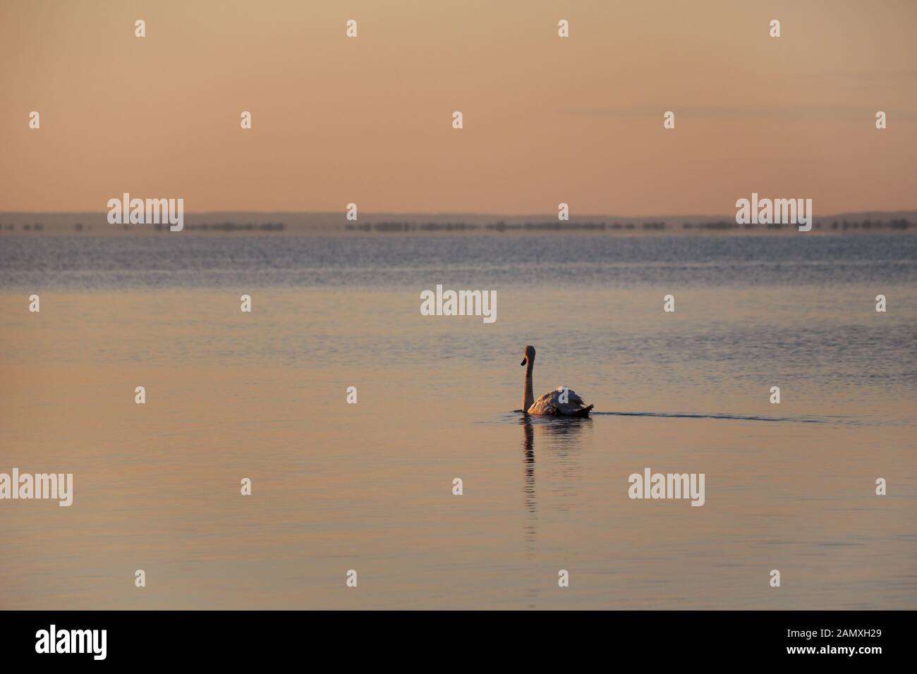 Sunnrise auf dem Plattensee Stockfoto