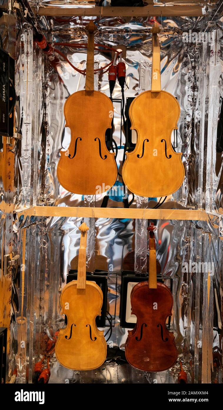 Chicago, USA. Januar 2020. Geigen werden am 14. Januar 2020 zum Trocknen des Lacks an der Chicago School of Violin Making in Skokie, Illinois, USA, aufgehängt. Die Chicago School of Violin Making, die die traditionellen Fähigkeiten des Instrumentes unterrichtet, befindet sich in Skokie, einem Vorort von Chicago. Sie beruft lokale und internationale Studenten ein, die die Absicht haben, professionelle Hersteller der Geige und anderer Instrumente zu werden. Kredit: Joel Lerner/Xinhua/Alamy Live News Stockfoto