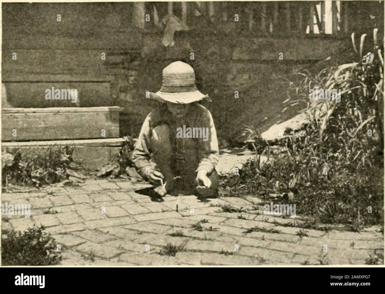 Alter Knacker Hat Mit Einem Jungen Girl Viel Spaß Alter Knacker Hat Mit Einem Jungen Girl Viel Spaß