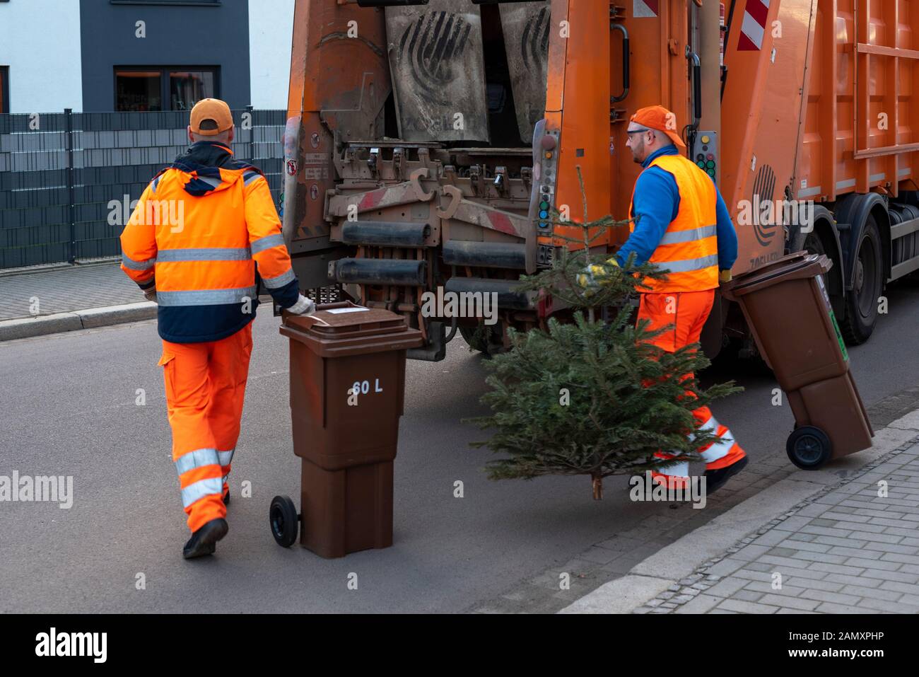 Magdeburg, Deutschland. Januar 2020. Ronny Scheer (36) und Robert Küffen (26) - von links nach rechts -, Mitarbeiter des Fallwirtschaftsbetriebs Magdeburg, ziehen Biobehälter und einen Weihnachtsbaum zu ihrem Entsorgungsfahrzeug. In der Landeshauptstadt werden Weihnachtsbäume nach dem fest kostenlos mit dem Bio-Abfallbehälter entsorgt. Voraussetzung: Die Anwohner müssen die Bäume direkt neben den Biolabfallbehälter stellen und dürfen laut Entsorgungsfirma nicht größer als zwei Meter sein. Credit: Dpa Picture Alliance / Alamy Live News Stockfoto