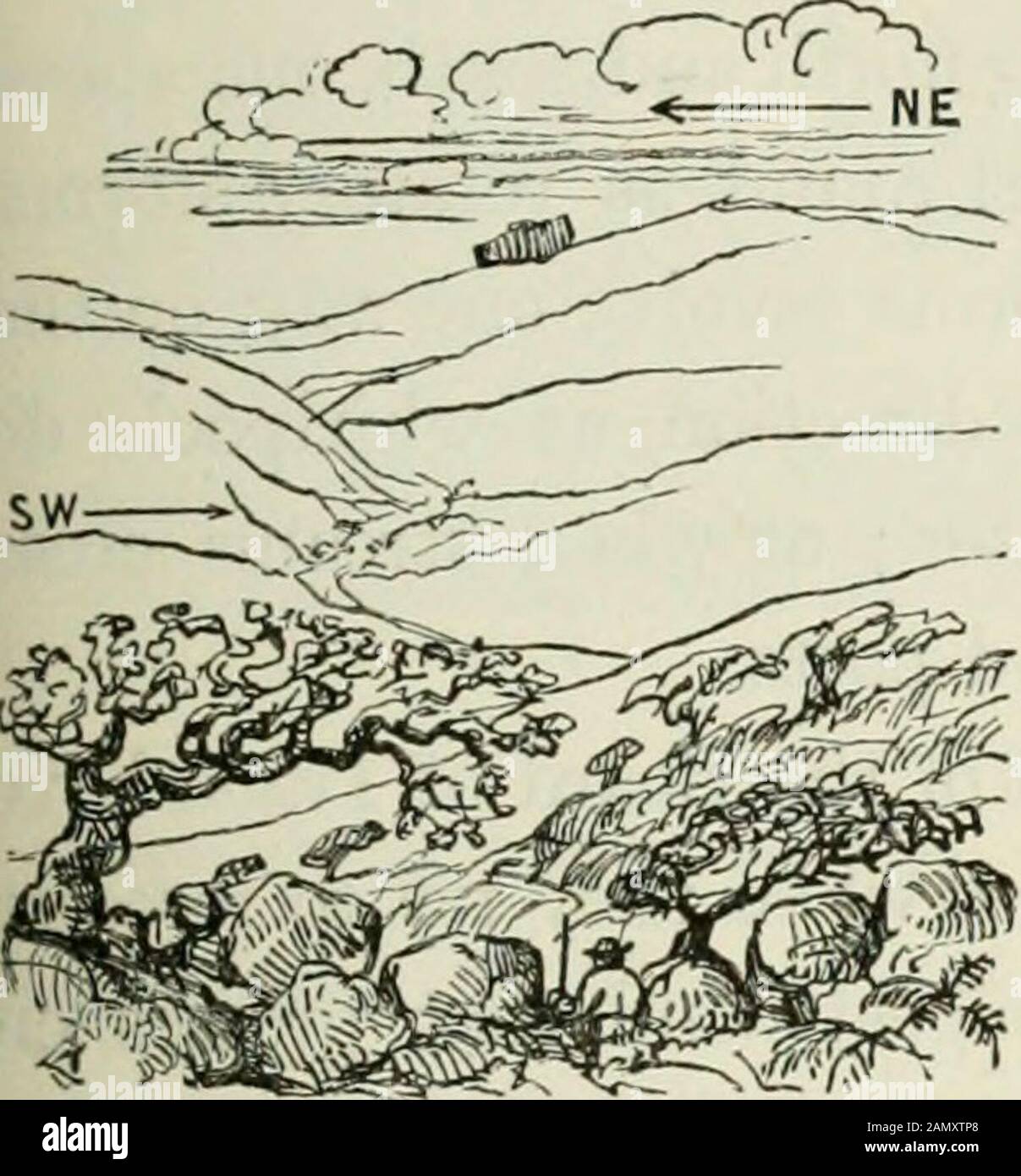 [Frost und Feuer : natürliche Motoren, Werkzeugmarken und Späne : mit Skizzen, die von Reisenden im in- und Ausland aufgenommen wurden] . hen, die von kleineren zu größeren Kreisen wechseln. Der polare Wind weht nicht wütend, weil Luft draggedrund ist und sich in östlicher Richtung bewegt, während er Wärme und Losgewicht auf dem Weg zum Äquator sammelt. Aus einem ähnlichen Grund wird eine äquatoriale Ruhe, die sich auf einen Aga-Meridian absetzt und aus großen bis kleinen Kreisen weht, awestlicher Wind. Er spielt die Rolle des Eisenbahnzuges und überzieht den kriechenden Baum, der auf den britischen Inseln wächst.Er beugt Bäume, reißt sie aber nicht immer Stockfoto