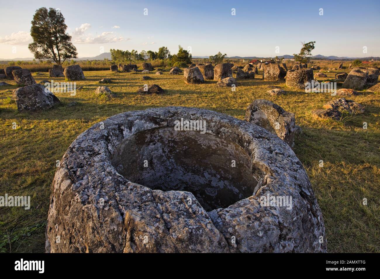 Geheimnisvollen Stein Gläser werden über eine große Fläche in der Nähe der Stadt Phonsavan im zentralen norden Laos verstreut. Stockfoto