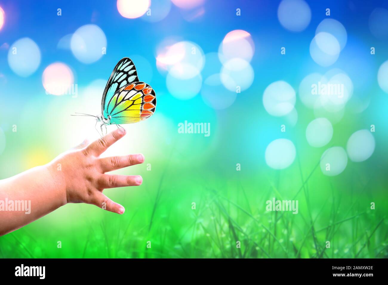 Bunter Schmetterling auf ein Baby Finger mit Bokeh in üppigem Gras und blauer Himmel. Stockfoto