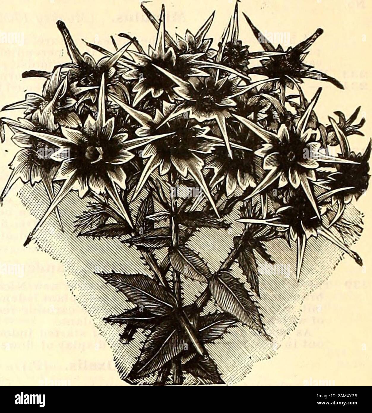 370 Z Stockfotos Und Bilder Kaufen Alamy