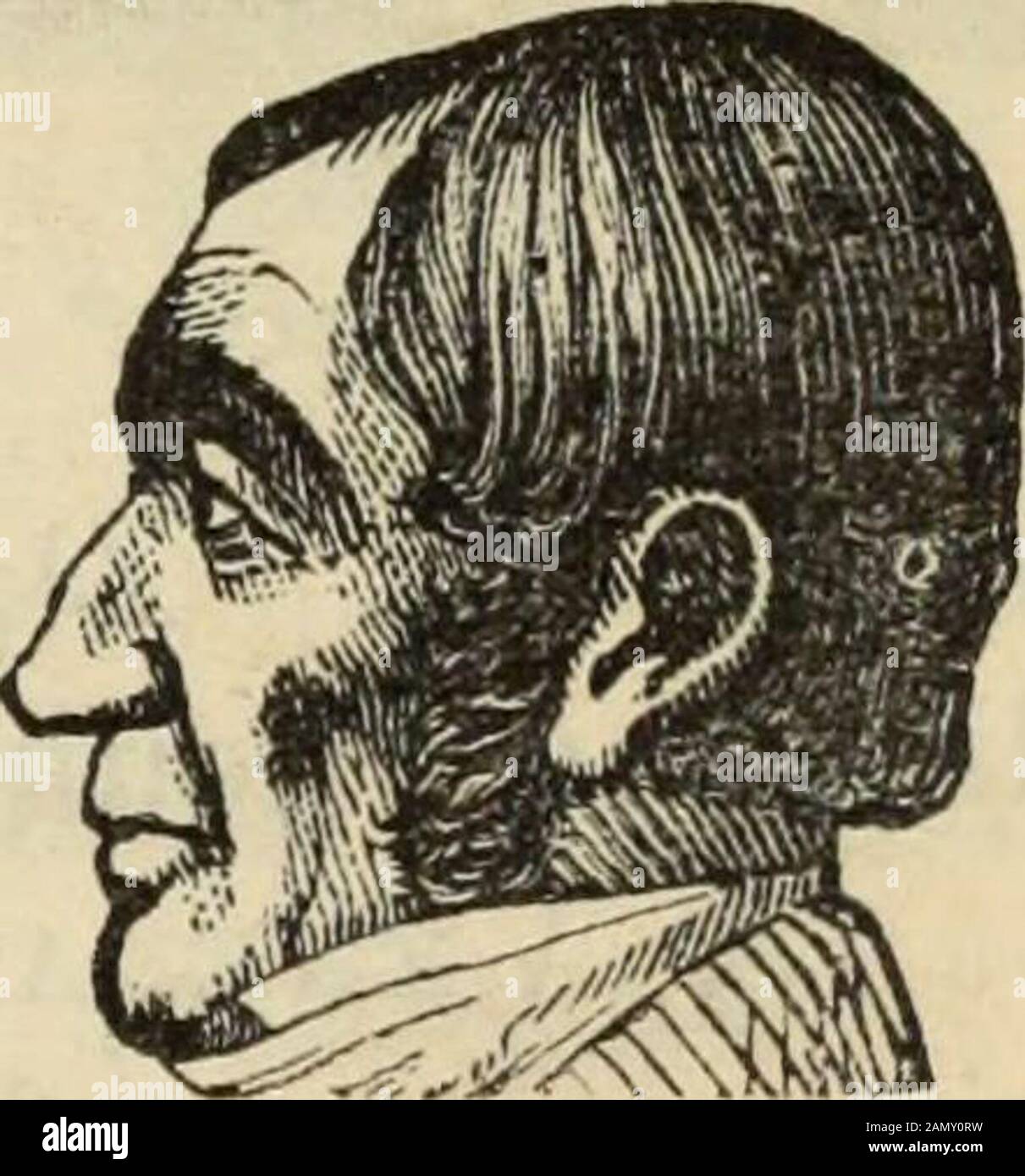 Neue Physiognomie: Oder Zeichen des Charakters, wie sie sich durch Temperament und äußere Formen manifestieren, und besonders im "menschlichen Antichel". Abb. 150.Diffidence.* Abb. 151.Atjthokity.* MORAL SENTIMENTS. 15. Gewissenhaftigkeit.-Gerechtigkeit; Integrität; Rechtfertigkeit und Pflicht und Macht, Versuchungen zu widerstehen. Überschuss: CensoiT ^ In Abb. 150, Selbstesteem und Firmheit wollen, und die charakterli schwach, unentschieden, unterwürfig, und Ihr sehr bescheidener Diener, Sir;wig. 151 es gibt eine natürliche Krone zum Kopf. Sehen Sie, wie hoch und voll der andere so defizitär ist! Solche Köpfe sind normalerweise in zu finden Stockfoto