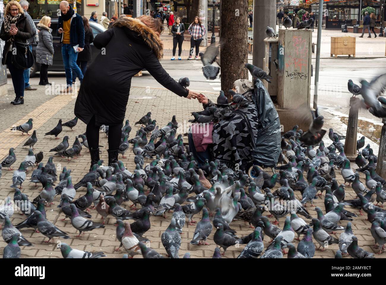 Tourist, der einer alten Seniorin, die auf dem Bürgersteig sitzt und von Tauben umgeben ist, Geld spendet, als lokale Attraktion in den Straßen von Sofia, Bulgarien, Europa, EU Stockfoto