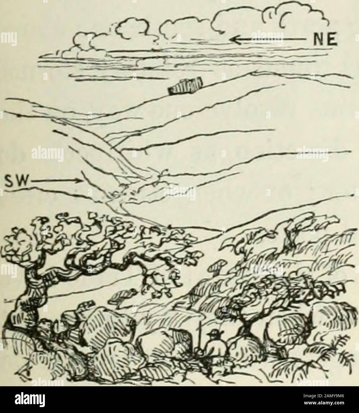 [Frost und Feuer : natürliche Motoren, Werkzeugmarken und Späne : mit Skizzen, die von Reisenden im in- und Ausland aufgenommen wurden] . beim Wechsel von kleineren zu größeren Kreisen. Der polare Wind weht nicht wütend, weil Luft draggedrund ist und sich in östlicher Richtung bewegt, während er Wärme und Losgewicht auf dem Weg zum Äquator sammelt. Aus einem ähnlichen Grund wird eine äquatoriale Ruhe, die sich auf einen Aga-Meridian absetzt und aus großen bis kleinen Kreisen weht, awestlicher Wind. Er spielt die Rolle des Eisenbahnzuges und überzieht den kriechenden Baum, der auf den britischen Inseln wächst.Er beugt Bäume, reißt aber nicht immer Stockfoto
