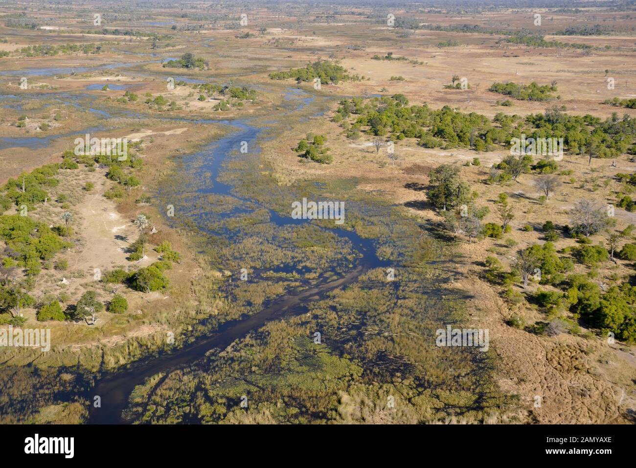 Botsuana, Okawango-Delta Stockfoto