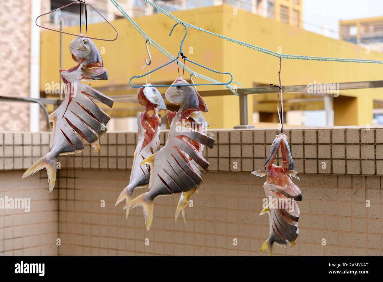 Rohe Fische, getrocknet auf einem Balkon horizontale Komposition Stockfoto