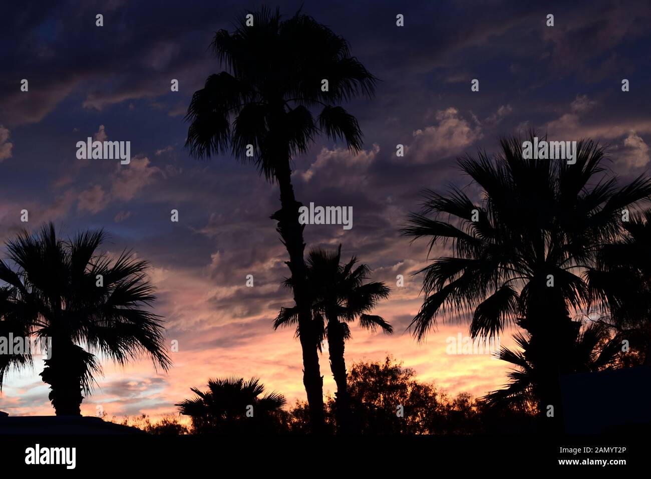 Schönen Sonnenuntergang mit dunklen Wolken hinter der Silhouette der Palmen Stockfoto